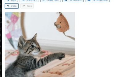 Cropping images in WordPress